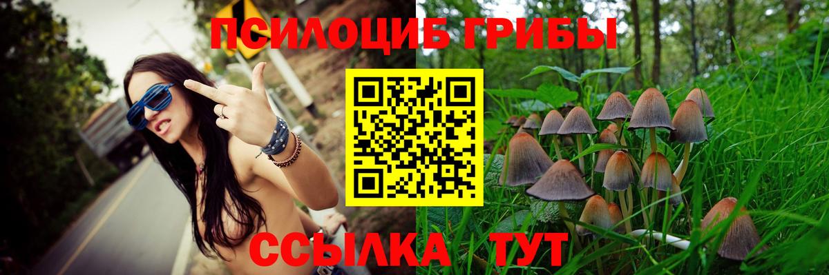 сколько стоит  Вход с VPN  Бор  Псилоцибиновые грибы мухоморы 